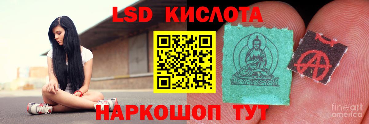 А ПВП Губкин