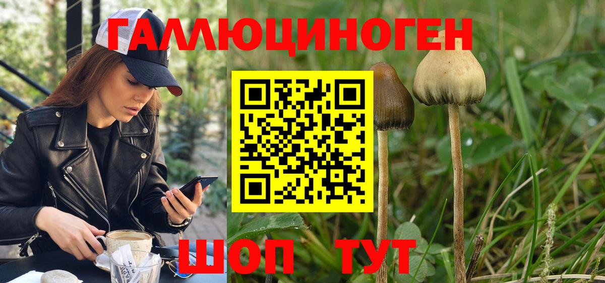 Галлюциногенные грибы мицелий Губкин