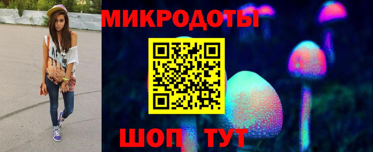 Псилоцибиновые грибы Psilocybine cubensis  Вход с VPN  Губкин 